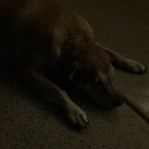 Meet your Posher, Andrew